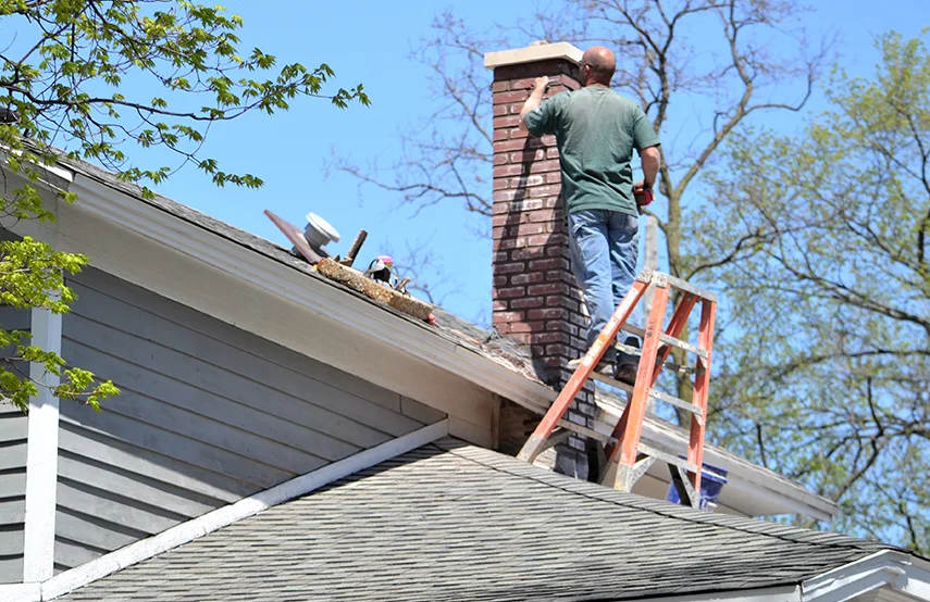 Chimney & Fireplace Inspections Services in Evergreen Park, IL